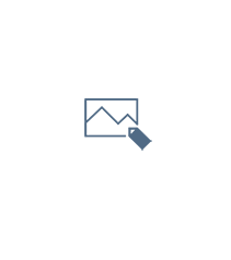 logo-ps