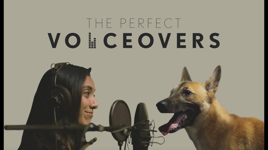 The Perfect Voiceovers