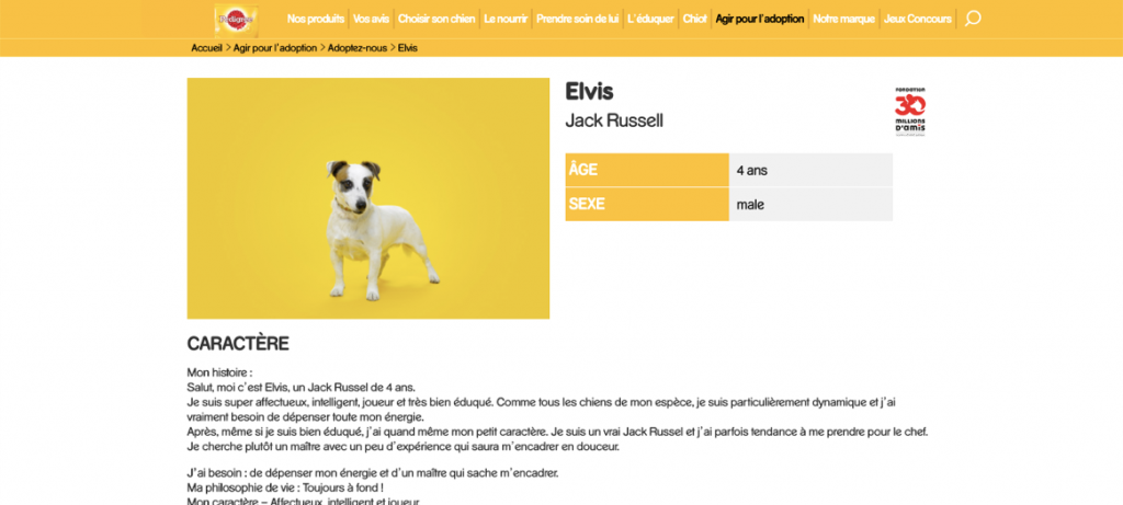 Figure 4: Attached link for more dogs' info