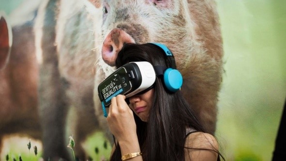 A “Virtual” Look into a Pig’s Life